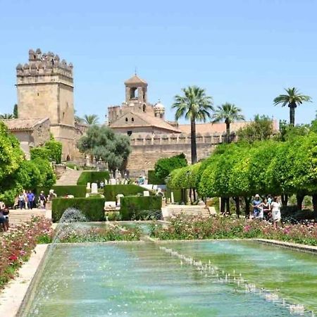 Apartamento Con Jardin Y Piscina En Cordoba Exterior photo